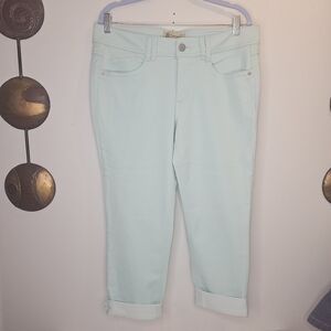 Democracy Mist Green Freedom Ankle Skimmer Pants Size 14